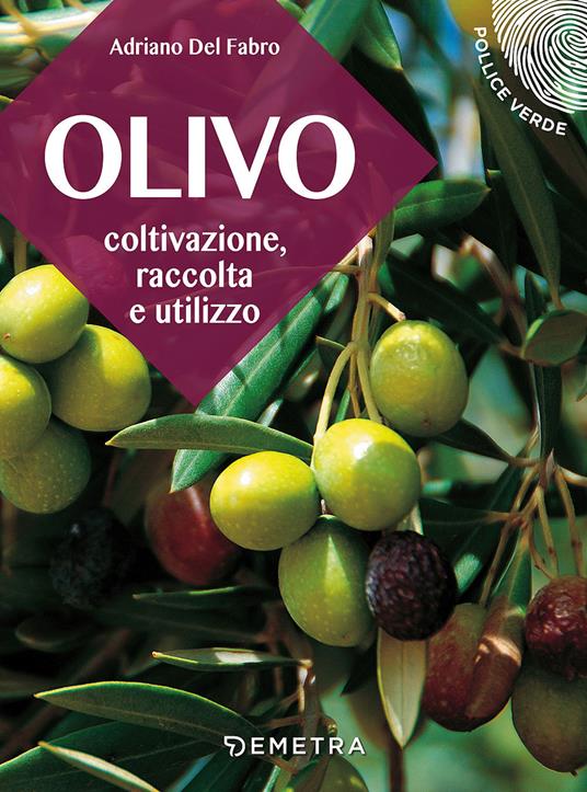Adriano Del Fabro L' olivo. Coltivazione, raccolta e utilizzo 